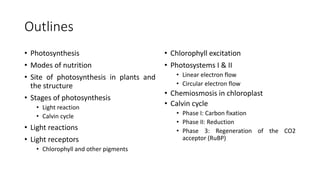 10 - Photosynthesis