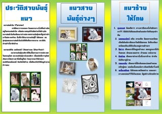 ประวัติสายพันธุ์
แมว
แมวเปอร์เซีย (Persian)
ราชินีแมวจากแดนตะวันออกกลางซึ่งมีถิ่นกาเนิด
อยู่ในแถบเปอร์เซีย หรือประเทศตุรกีกับอิหร่านในปัจจุบัน
แมวเปอร์เซียถือเป็นแมวต่างประเทศสายพันธุ์แรกที่ถูกนาเข้า
มาในประเทศไทย สิ่งที่ทาให้แมวสายพันธุ์นี้ มีลักษณะ ขน
ปุกปุยของแมวเปอร์เซียยังมีสีสันที่หลากหลาย และนิสัย
ส่วนตัวก็น่ารักด้วย
แมวอเมริกัน ชอร์ตแฮร์ (American Shorthair)
แมวสายพันธุ์อเมริกาที่สืบเชื้อสายมาจากประเทศ
ในแถบยุโรป และแพร่พันธุ์มายังอเมริกา เมื่อสมัยที่ชาวยุโรป
เดินทางไปแสวงหาถิ่นที่อยู่ใหม่ โดยพวกเขาได้นาแมว
อเมริกันชอร์ตแฮร์ ติดเรือไปด้วย เพื่อป้องกันไม่ให้หนูทาลาย
ข้าวของ
แมวสาย
พันธุ์ต่างๆ
แมวร้าย
ให้โทษ
1. ทุพลเพศ มีขนสีขาว ดวงตาสีแดงดั่งโลหิตทา
ตาไว้ มีนิสัยไม่ดีชอบลักขโมยปลาไปกินทุกคา
คืน
2. พรรณพยัคฆ์ หรือ ลายเสือ มีขนลายเหมือน
เสือมีนัยน์ตาสีแดงเจือสีเปือกตม มีเสียงร้อง
เหมือนเสียงผีโป่งร้องอยู่ตามป่าเขา
3. ปีศาจ เป็นแมวที่กินลูกตัวเอง ออกลูกมากี่ตัว
กินหมด ลักษณะขนสาก ตัวผอม หนังยาน
4. หิณโทษ เป็นแมวนามาซึ่งสิ่งเลวร้าย นาภัย
พิบัติมาสู่บ้าน
5. กอบเพลิง เป็นแมวที่ลึกลับชอบซ่อนตัวหลบ
หลีกผู้คน พอมันเห็นคนมันจะเดินหรือรีบวิ่งหนี
6. เหน็บเสนียด มีลักษณะเหมือนค่าง ชอบเอา
หางขดซ่อนไว้ใต้ก้นเสมอ มีรูปร่างพิกลพิการ
 