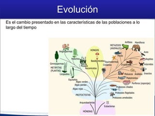 Evolución
Es el cambio presentado en las características de las poblaciones a lo
largo del tiempo
 