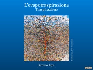 Riccardo Rigon
L’evapotraspirazione
Traspirazione
P.Sutton,Tree,1958-TateModern
Riccardo Rigon
 
