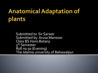Submitted to Sir Sarwer
Submitted by Arusa Mansoor
Class BS Hons Botany
5th Semester
Roll no 50 (Evening)
The Islamia university of Bahawalpur
