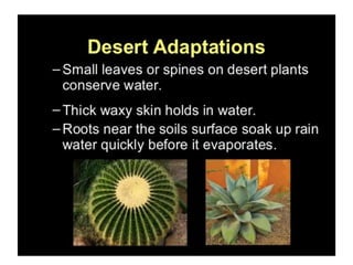 Anatomical Adaptation of plants