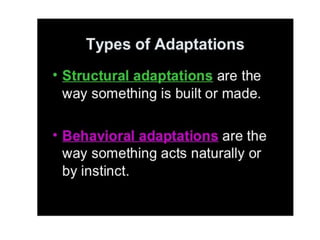 Anatomical Adaptation of plants