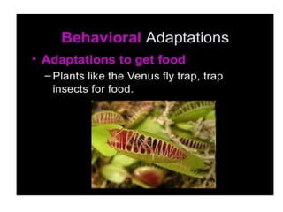 Anatomical Adaptation of plants