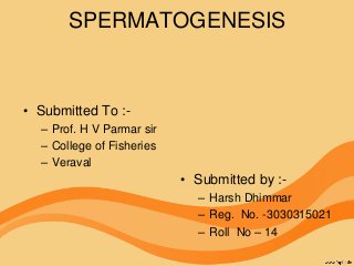 SPERMATOGENESIS
• Submitted To :-
– Prof. H V Parmar sir
– College of Fisheries
– Veraval
• Submitted by :-
– Harsh Dhimmar
– Reg. No. -3030315021
– Roll No – 14
 