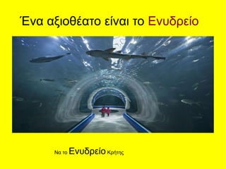 Ένα αξιοθέατο είναι το Ενυδρείο
Να το Ενυδρείο Κρήτης
 