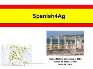 Español para la Agricultura
Parque Natural del Estrecho, 2003.
Ruinas de Baelo Claudia.
Bolonia, Cadiz.
 