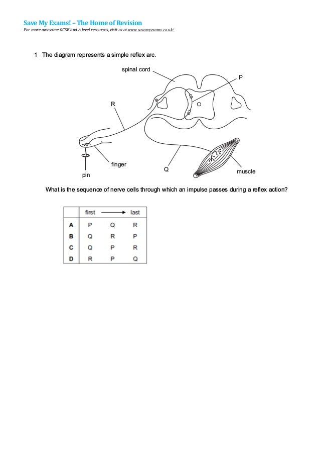 14 1 Coordination And Response Qp Igcse Cie Biology