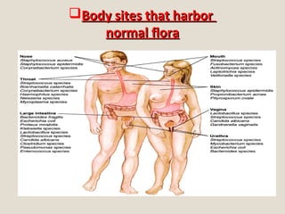 Body sites that harborBody sites that harbor
normal floranormal flora
 