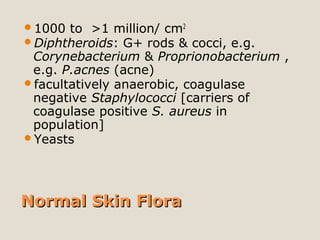 Normal Skin FloraNormal Skin Flora
1000 to >1 million/ cm2
Diphtheroids: G+ rods & cocci, e.g.
Corynebacterium & Proprionobacterium ,
e.g. P.acnes (acne)
facultatively anaerobic, coagulase
negative Staphylococci [carriers of
coagulase positive S. aureus in
population]
Yeasts
 