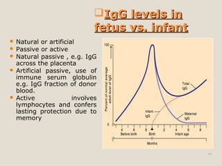 40
IgG levels inIgG levels in
fetus vs. infantfetus vs. infant
 Natural or artificial
 Passive or active
 Natural passive , e.g. IgG
across the placenta
 Artificial passive, use of
immune serum globulin
e.g. IgG fraction of donor
blood.
 Active involves
lymphocytes and confers
lasting protection due to
memory
 