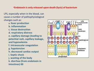 LPS, especially when in the blood, can
cause a number of pathophysiological
changes such as:
a. fever production
b. inflammation
c. tissue destruction
d. respiratory distress
e. capillary damage (leading to
petechial rash, capillary leakage,
and hypovolemia
f. intravascular coagulation
g. hypotension
h. decreased cardiac output
i. Septic shock
j. wasting of the body
k. diarrhea (from endotoxin in
intestines) 00
•Endotoxin is only released upon death (lysis) of bacterium
 