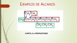 3-METIL-5-n-PROPILOCTANO
EJEMPLOS DE ALCANOS
 