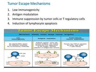 14.tumor immunology and immunotherapy | PPTX