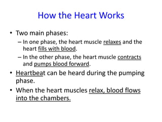 How the Heart Works
• Two main phases:
– In one phase, the heart muscle relaxes and the
heart fills with blood.
– In the other phase, the heart muscle contracts
and pumps blood forward.
• Heartbeat can be heard during the pumping
phase.
• When the heart muscles relax, blood flows
into the chambers.
 