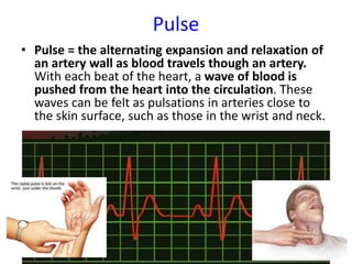 Pulse
• Pulse = the alternating expansion and relaxation of
an artery wall as blood travels though an artery.
With each beat of the heart, a wave of blood is
pushed from the heart into the circulation. These
waves can be felt as pulsations in arteries close to
the skin surface, such as those in the wrist and neck.
 