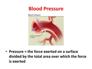 Blood Pressure
• Pressure = the force exerted on a surface
divided by the total area over which the force
is exerted
 