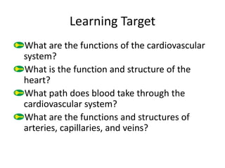 Learning Target
What are the functions of the cardiovascular
system?
What is the function and structure of the
heart?
What path does blood take through the
cardiovascular system?
What are the functions and structures of
arteries, capillaries, and veins?
 