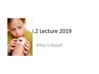 14.2 Lecture 2019
What is blood?
 