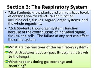 Section 3: The Respiratory System
What are the functions of the respiratory system?
What structures does air pass through as it travels
to the lungs?
What happens during gas exchange and
breathing?
• 7.5.a Students know plants and animals have levels
of organization for structure and function,
including cells, tissues, organs, organ systems, and
the whole organisms.
• 7.5.b Students know organ systems function
because of the contributions of individual organs,
tissues, and cells. The failure of any part can affect
the entire system.
 