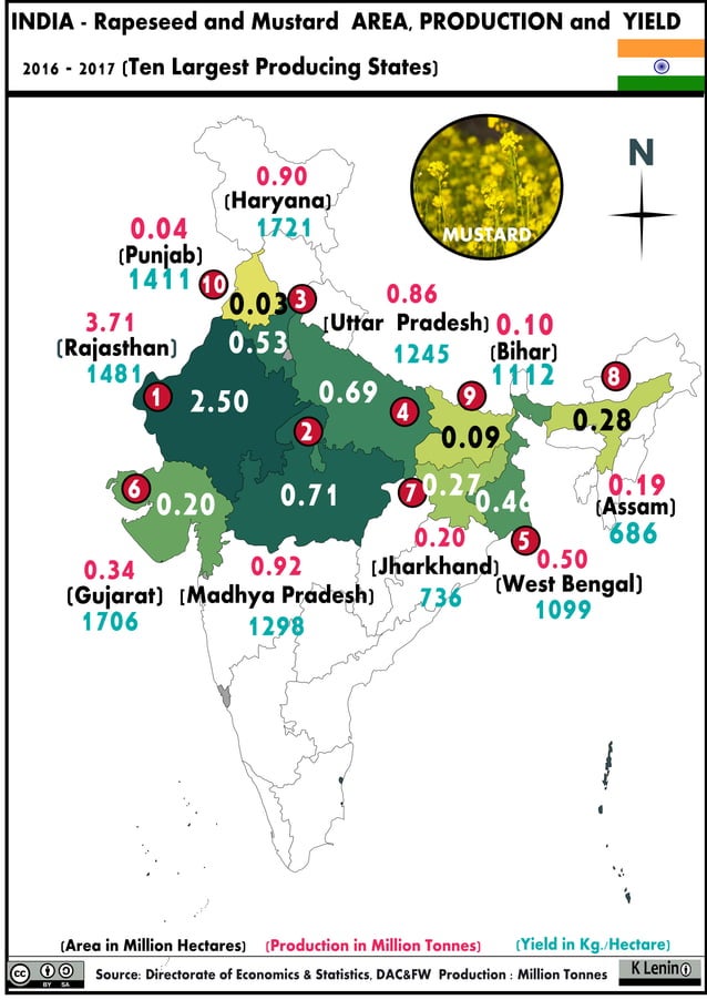 14.2 India Rapeseed and Mustard area production and yield whole map