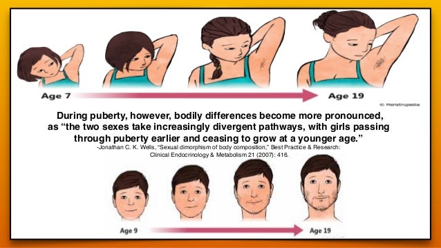 Anatomical Differences Between Male And Female