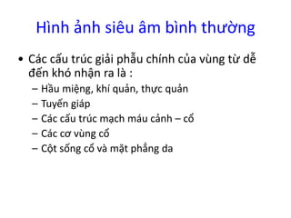 Hình ảnh siêu âm bình thường
• Các cấu trúc giải phẫu chính của vùng từ dễ
đến khó nhận ra là :
– Hầu miệng, khí quản, thực quản
– Tuyến á
– Các cấu trúc mạch máu cảnh – cổ
– Các cơ vùng cổ
– Cột sống cổ và mặt phẳng da
 