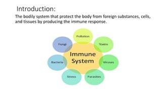 Components of immune system
• The immune system is made up of antibodies, white blood
cells, and other chemicals and prote...