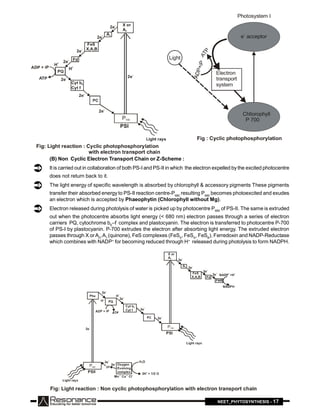 Z Scheme Of Photosynthesis Notes