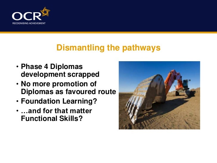 14 19 education & the Wolf Report