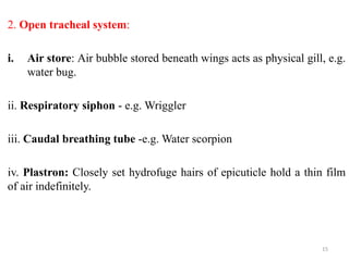 2. Open tracheal system:
i. Air store: Air bubble stored beneath wings acts as physical gill, e.g.
water bug.
ii. Respiratory siphon - e.g. Wriggler
iii. Caudal breathing tube -e.g. Water scorpion
iv. Plastron: Closely set hydrofuge hairs of epicuticle hold a thin film
of air indefinitely.
15
 
