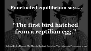 Punctuated equilibrium says…
Richard B. Gouldsmidt, The Material Basis of Evolution, Yale University Press, 1940, p.395.
“The first bird hatched
from a reptilian egg.”
 