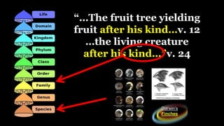 “…The fruit tree yielding
fruit after his kind…v. 12
…the living creature
after his kind…”v. 24
 