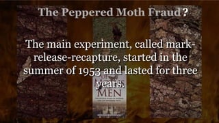 ?
The main experiment, called mark-
release-recapture, started in the
summer of 1953 and lasted for three
years.
 