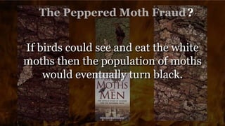 ?
If birds could see and eat the white
moths then the population of moths
would eventually turn black.
 