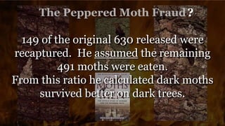 ?
149 of the original 630 released were
recaptured. He assumed the remaining
491 moths were eaten.
From this ratio he calculated dark moths
survived better on dark trees.
 