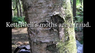 Kettelwell’s moths are a fraud.
 