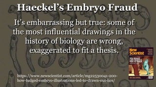 https://www.newscientist.com/article/mg22530041-200-
how-fudged-embryo-illustrations-led-to-drawn-out-lies/
It’s embarrassing but true: some of
the most influential drawings in the
history of biology are wrong,
exaggerated to fit a thesis.
Haeckel’s Embryo FraudHaeckel’s Embryo Fraud
 