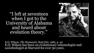 “I left at seventeen
when I got to the
University of Alabama
and heard about
evolution theory.”
E.O. Wilson, The Humanist, Sept/Oct. 1982, p. 40
E.O. Wilson has been an evolutionary entomologist and
sociobiologist at Harvard for over 30 years.
 