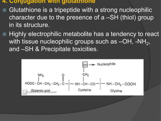 Drug metabolism Phase II reaction | PPTX
