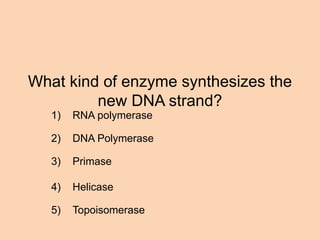 What kind of enzyme synthesizes the
new DNA strand?
1) RNA polymerase
2) DNA Polymerase
3) Primase
4) Helicase
5) Topoisomerase
 