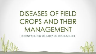 DISEASES OF FIELD
CROPS AND THEIR
MANAGEMENT
DOWNY MILDEW OF BAJRA OR PEARL MILLET
 