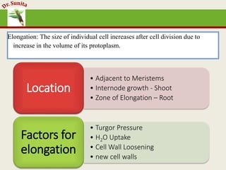 Elongation: The size of individual cell increases after cell division due to
increase in the volume of its protoplasm.
• Adjacent to Meristems
• Internode growth - Shoot
• Zone of Elongation – Root
Location
• Turgor Pressure
• H2O Uptake
• Cell Wall Loosening
• new cell walls
Factors for
elongation
 