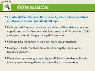 Differentiation
 Cellular differentiation is the process by which a less specialized
cell becomes a more specialized cell type.
 Cells derived from meristems and cambium differentiate and mature
to perform specific functions which is termed as differentiation. Cells
undergo structural changes during differentiation.
 Changes take place both in their cell walls and protoplasm.
 Example :- Cells lose their protoplasm during the formation of
tracheary elements.
 Plants develop a strong, elastic, lignocellulosic secondary cell walls,
to carry water to long distances even under extreme tension.
 