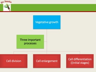 Vegetative growth
Cell division Cell enlargement
Cell differentiation
((initial stages)
Three important
processes
 