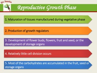 Reproductive Growth Phase
1. Maturation of tissues manufactured during vegetative phase
2. Production of growth regulators
3. Development of flower buds, flowers, fruit and seed, or the
development of storage organs
4. Relatively little cell division occurs
5. Most of the carbohydrates are accumulated in the fruit, seed or
storage organs
 