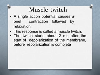 Muscle twitch
• A single action potential causes a
brief contraction followed by
relaxation
• This response is called a muscle twitch.
• The twitch starts about 2 ms after the
start of depolarization of the membrane,
before repolarization is complete
 