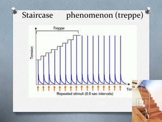 Staircase phenomenon (treppe)
 