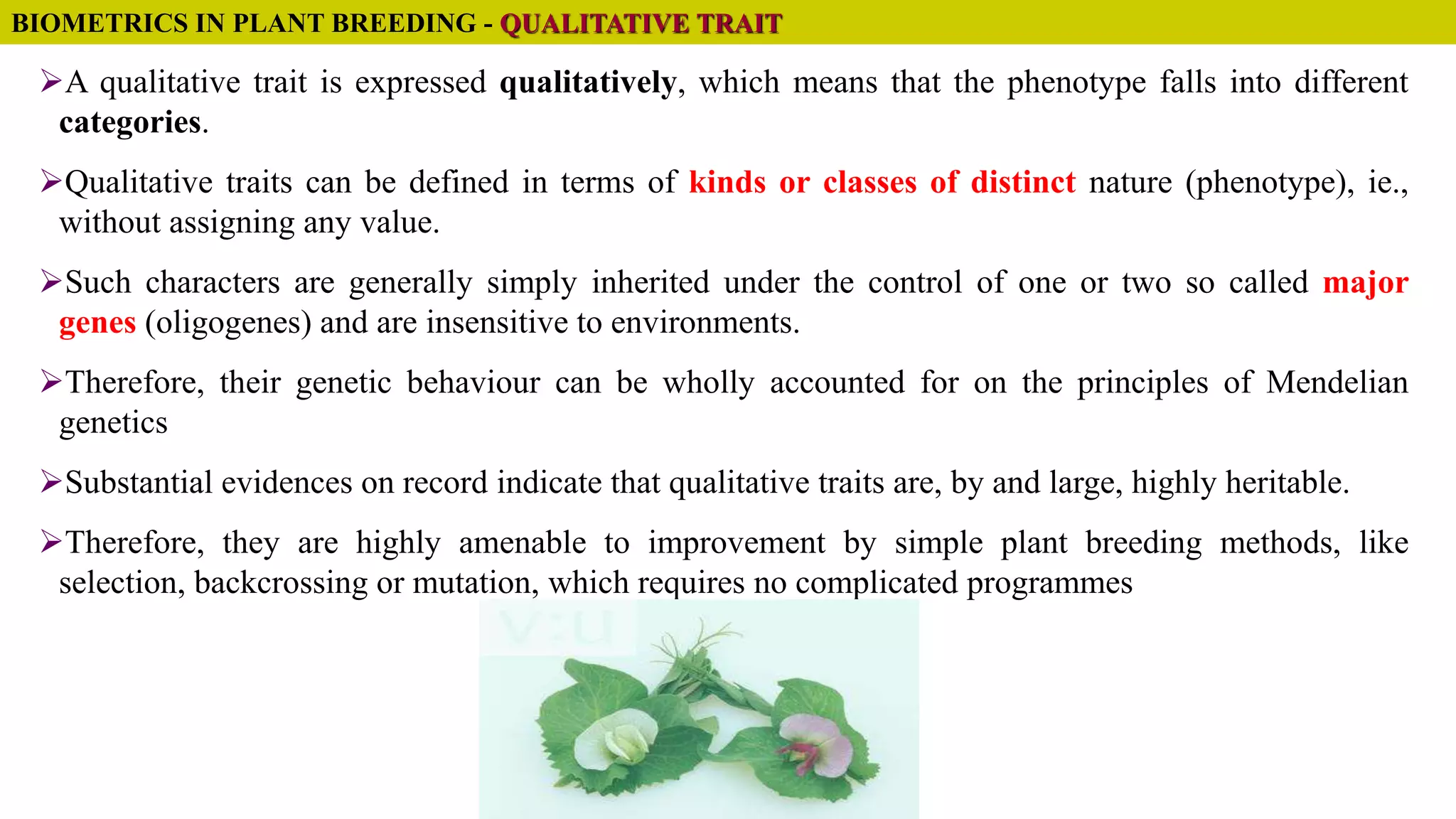 BIOMETRICS IN PLANT BREEDING - QUALITATIVE TRAIT
A qualitative trait is expressed qualitatively, which means that the phenotype falls into different
categories.
Qualitative traits can be defined in terms of kinds or classes of distinct nature (phenotype), ie.,
without assigning any value.
Such characters are generally simply inherited under the control of one or two so called major
genes (oligogenes) and are insensitive to environments.
Therefore, their genetic behaviour can be wholly accounted for on the principles of Mendelian
genetics
Substantial evidences on record indicate that qualitative traits are, by and large, highly heritable.
Therefore, they are highly amenable to improvement by simple plant breeding methods, like
selection, backcrossing or mutation, which requires no complicated programmes
 
