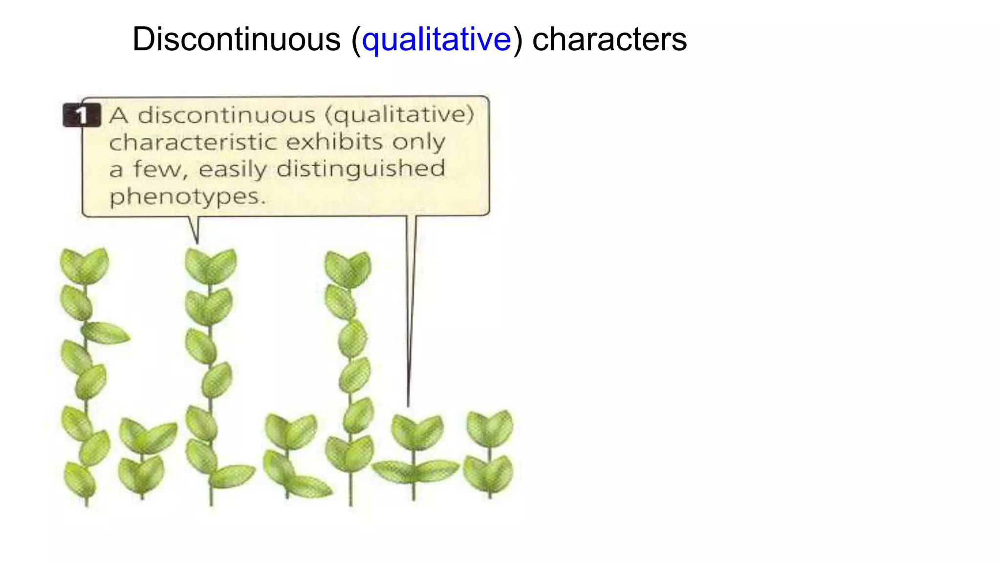 Discontinuous (qualitative) characters
 